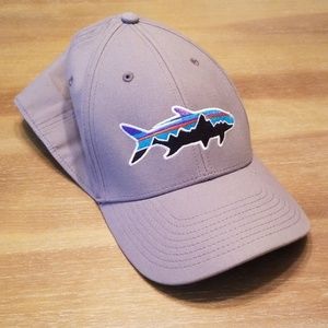 Like New Patagonia Fitz Roy Tarpon Flexfit Hat